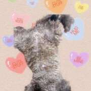 ヒメ日記 2026/03/22 16:47 投稿 西田(にしだ) 人妻出逢い会 百合の園 山の手本店