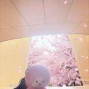 ヒメ日記 2026/03/25 14:37 投稿 西田(にしだ) 人妻出逢い会 百合の園 山の手本店