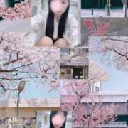 ヒメ日記 2026/04/04 21:17 投稿 西田(にしだ) 人妻出逢い会 百合の園 山の手本店