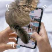 ヒメ日記 2026/04/06 00:07 投稿 西田(にしだ) 人妻出逢い会 百合の園 山の手本店