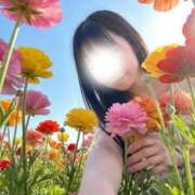 ヒメ日記 2026/04/16 11:07 投稿 西田(にしだ) 人妻出逢い会 百合の園 山の手本店