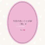 ヒメ日記 2026/04/26 16:19 投稿 千唯-CHII- luxury aroma 咲
