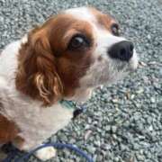 ヒメ日記 2026/03/08 23:48 投稿 深田 なこ Candy Style