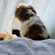 ヒメ日記 2026/03/25 09:48 投稿 深田 なこ Candy Style