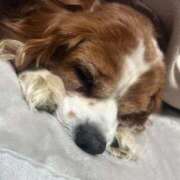 ヒメ日記 2026/04/06 03:13 投稿 深田 なこ Candy Style