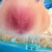 ヒメ日記 2026/02/02 14:22 投稿 はづき 君とふわふわプリンセスin立川