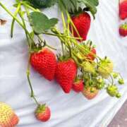 ヒメ日記 2026/02/07 19:22 投稿 はづき 君とふわふわプリンセスin立川