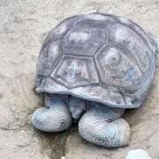 ヒメ日記 2026/03/04 01:42 投稿 はづき 君とふわふわプリンセスin立川