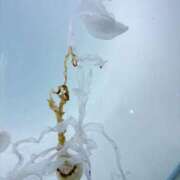 ヒメ日記 2026/03/05 09:12 投稿 はづき 君とふわふわプリンセスin立川