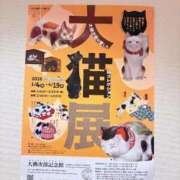 ヒメ日記 2026/03/29 00:12 投稿 はづき 君とふわふわプリンセスin立川