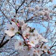 ヒメ日記 2026/03/29 17:22 投稿 はづき 君とふわふわプリンセスin立川