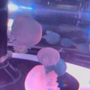 ヒメ日記 2026/03/30 12:46 投稿 はづき 君とふわふわプリンセスin立川