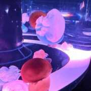 ヒメ日記 2026/04/01 23:57 投稿 はづき 君とふわふわプリンセスin立川