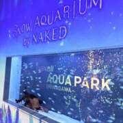 ヒメ日記 2026/04/02 17:52 投稿 はづき 君とふわふわプリンセスin立川