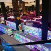 ヒメ日記 2026/04/11 20:05 投稿 はづき 君とふわふわプリンセスin立川