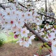 ヒメ日記 2026/04/12 00:22 投稿 はづき 君とふわふわプリンセスin立川