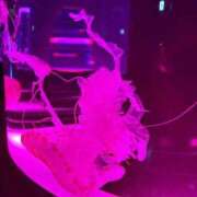 ヒメ日記 2026/04/15 10:42 投稿 はづき 君とふわふわプリンセスin立川