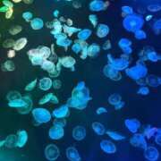 ヒメ日記 2026/04/18 12:22 投稿 はづき 君とふわふわプリンセスin立川