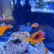 ヒメ日記 2026/04/23 10:32 投稿 はづき 君とふわふわプリンセスin立川