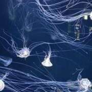 ヒメ日記 2026/08/28 14:08 投稿 はづき 君とふわふわプリンセスin立川