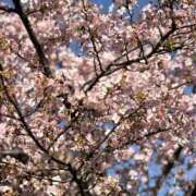 ヒメ日記 2026/02/24 12:42 投稿 MIRAI 私はキャサリン