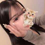 ヒメ日記 2026/02/19 16:36 投稿 まむ シンデレラ【平均年齢20才、風俗未経験の娘が8割以上】