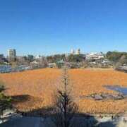 ヒメ日記 2026/02/04 22:56 投稿 麻友 出会い系人妻ネットワーク 上野〜大塚編