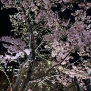 ヒメ日記 2026/02/18 21:44 投稿 麻友 出会い系人妻ネットワーク 上野〜大塚編