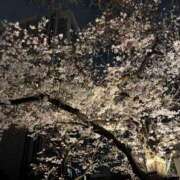 ヒメ日記 2026/04/05 11:18 投稿 麻友 出会い系人妻ネットワーク 上野〜大塚編