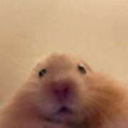 ヒメ日記 2026/03/17 21:55 投稿 ほむら 上野ハンドメイド