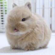 ヒメ日記 2026/03/19 11:25 投稿 ほむら 上野ハンドメイド