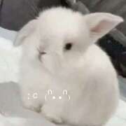 ヒメ日記 2026/03/24 17:33 投稿 ほむら 上野ハンドメイド