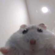 ヒメ日記 2026/03/26 19:49 投稿 ほむら 上野ハンドメイド