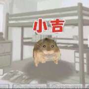ヒメ日記 2026/05/08 12:08 投稿 ほむら 上野ハンドメイド