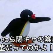 ヒメ日記 2026/06/02 14:58 投稿 ほむら 上野ハンドメイド