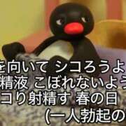 ヒメ日記 2026/07/03 17:43 投稿 ほむら 上野ハンドメイド