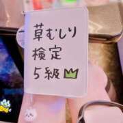ほむら 🧍🏾 上野ハンドメイド