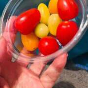 ヒメ日記 2026/02/13 02:26 投稿 京極 熟女の風俗最終章　鶯谷店