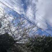 ヒメ日記 2026/02/13 12:06 投稿 京極 熟女の風俗最終章　鶯谷店