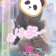 ヒメ日記 2026/02/14 10:16 投稿 京極 熟女の風俗最終章　鶯谷店