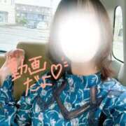 ヒメ日記 2026/02/25 12:20 投稿 西野みお(にしのみお) 鶯谷ナンバーワン