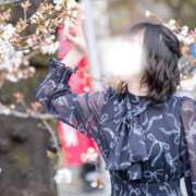 ヒメ日記 2026/04/24 16:00 投稿 西野みお(にしのみお) 鶯谷ナンバーワン