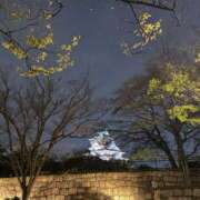 ヒメ日記 2026/04/04 12:53 投稿 ゆき 熟女総本店