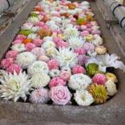 ヒメ日記 2026/04/14 10:02 投稿 ゆき 熟女総本店