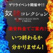ヒメ日記 2026/03/03 14:37 投稿 ソフィア 奴隷コレクション梅田店