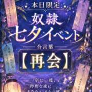 ヒメ日記 2026/07/07 15:14 投稿 ソフィア 奴隷コレクション梅田店
