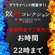 ヒメ日記 2026/08/21 19:04 投稿 ソフィア 奴隷コレクション梅田店