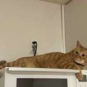 みお 気づいた事(*´ー｀*) モアグループ小山人妻花壇