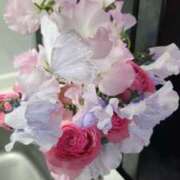 ヒメ日記 2026/03/04 15:01 投稿 せな ビギナーズ和歌山