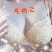 ヒメ日記 2026/02/19 16:45 投稿 そのこ(奥様) 姫マーケット